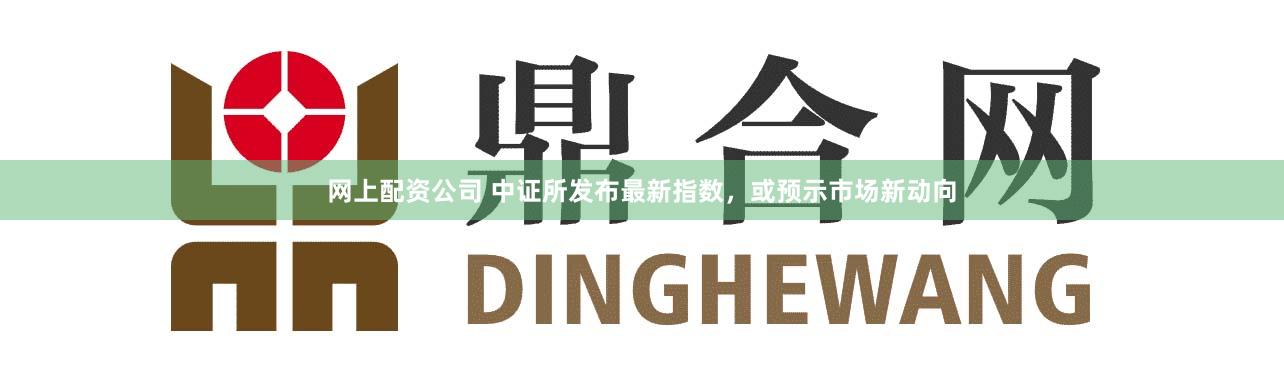 網上配資公司 中證所發布最新指數,或預示市場新動向