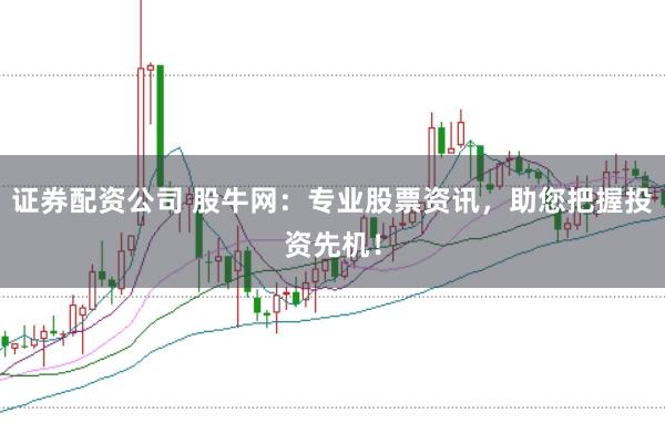 證券配資公司 股牛網：專業股票資訊，助您把握投資先機！